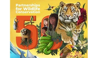 第十届国际野生动植物节嘉年华
