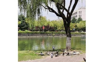 漫步升仙湖公园——悦社36期户外徒步活动5月13日走起