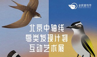 北京中轴线鸟类发现计划互动艺术展