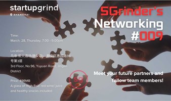 SGrinder's Networking 009 - AI独立开发专场